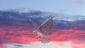 "Иорданская голубица", "Пантократор", С.А. Есенин.