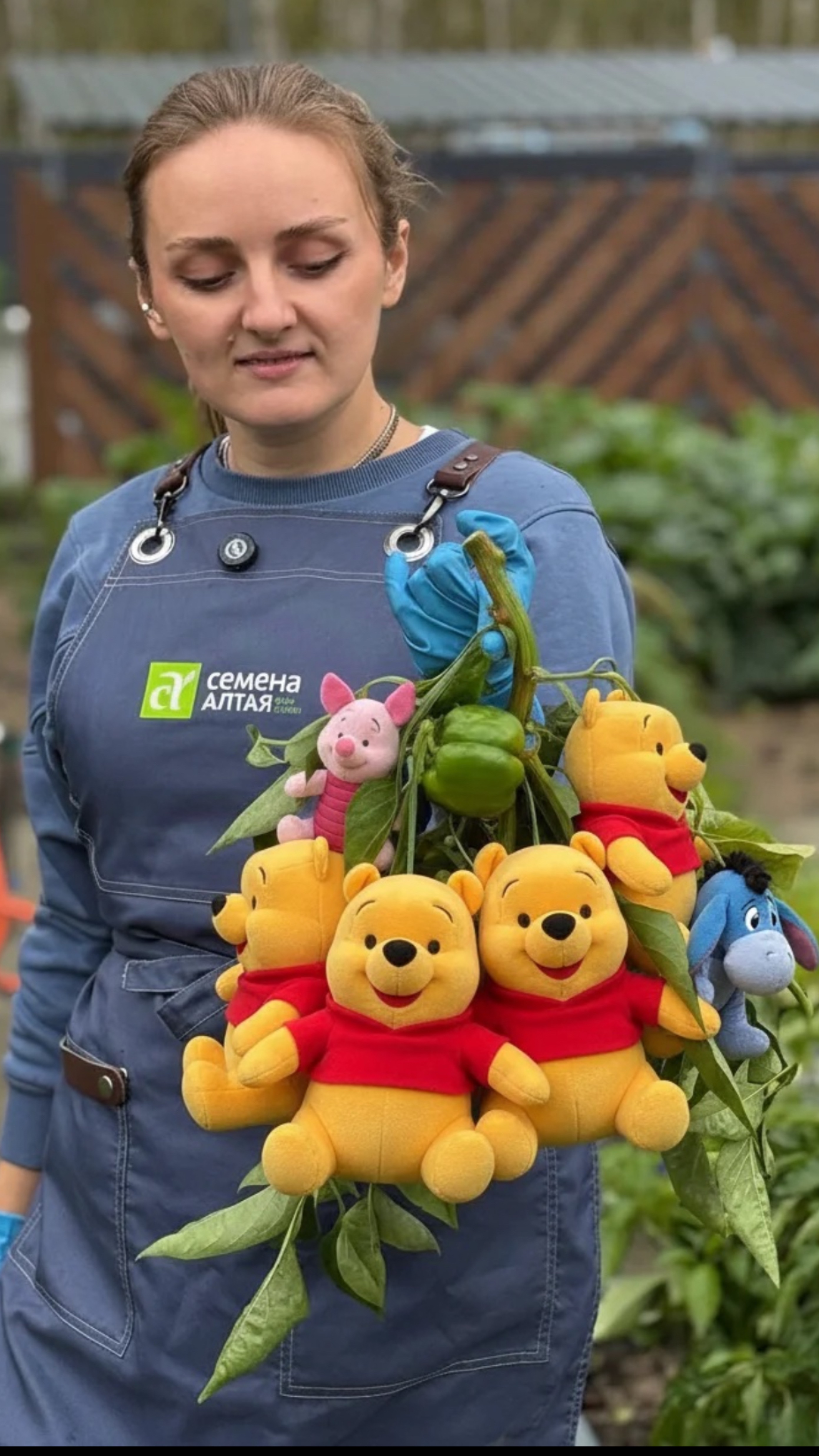 СУПЕР КОМПАКТНЫЙ СЛАДКИЙ ПЕРЕЦ ВИННИ ПУХ смотреть онлайн