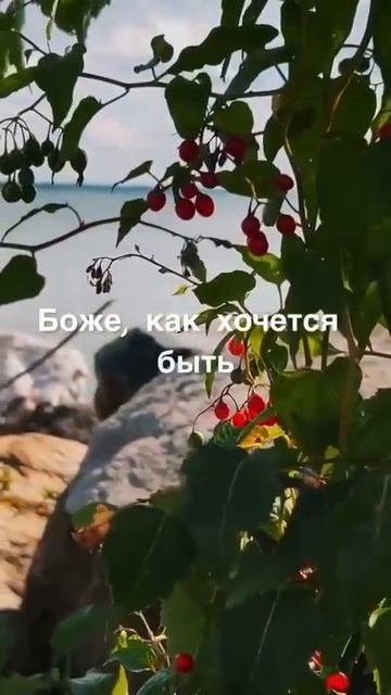 Боже, как хочется  жить..