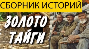 ВОТ ЛУЧШАЯ ТАЁЖНАЯ ЖУТКАЯ ИСТОРИЯ, ЧТО ПОТРЯСЕТ ВАС ДО ГЛУБИНЫ ДУШИ, ужасы, мистика.