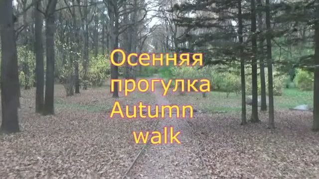 Осенняя прогулка - 1. Сергей Чекалин смотреть онлайн