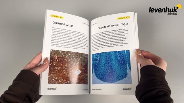 Руководство «Увидеть все! Изучаем окружающий мир» | Четыре глаза – краткий видеообзор смотреть онлайн