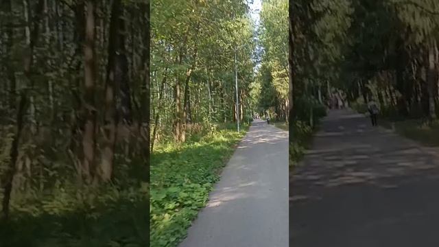 Вело-прогулка Черняевский лес Пермь