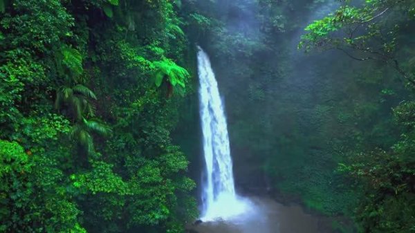 baddie playlist🖤songs that are hot as hell🖤boss energy vibe Wave _ Hardwave _ Phonk _ Trap Mix 'EU