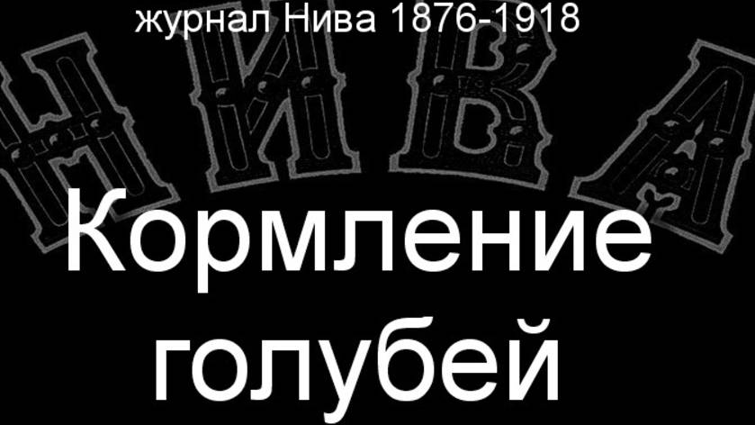 Кормление голубей. описание журнал Нива 1876-1918 смотреть онлайн