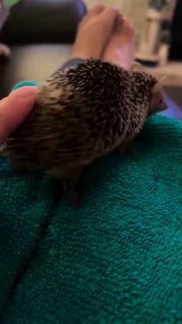 Танцуй пока молодой)