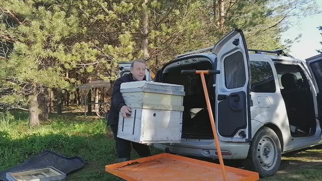 Привёз ульи Дадан с пчёлами очень тяжёлая работа их выгрузить по сравнению с ульями-лежаками смотреть онлайн