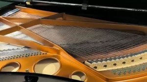 Рояль Bоsendorfer 225 - 92 клавиши, 1970 год