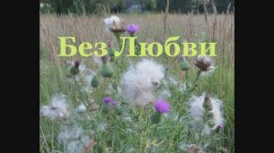 Иеромонах Роман, монах Афанасий (Кокорев). Без Любви