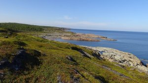 Белое море 2025 год.  часть 1