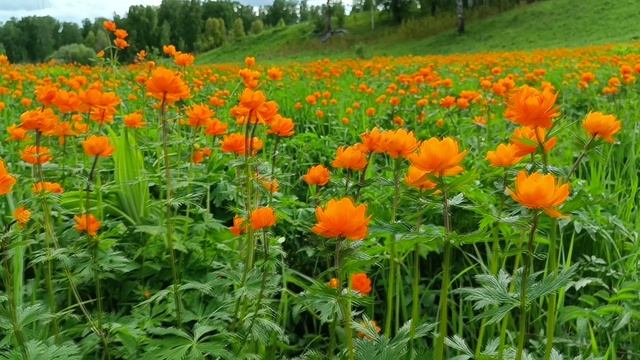 Get some rest. смотреть онлайн