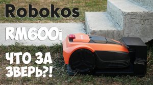 Robokos RM600i: доступный робот-газонокосилка с продвинутыми возможностями!🌱✂️ ОБЗОР и ТЕСТ✅