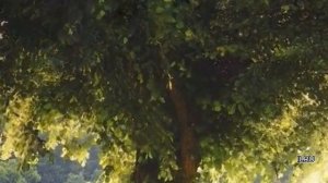 Слушать рассказ  - Начало одной истории - Удивительные истории из жизни