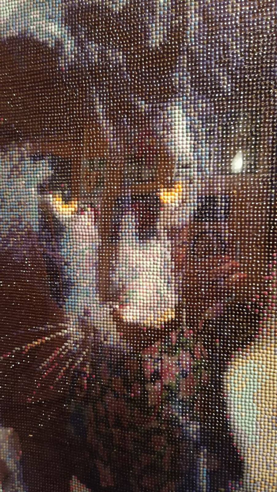 "ПАНТЕРА" БРЕНД БАРУБУ смотреть онлайн