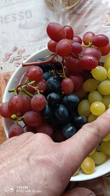 Поспел виноград. 20.09.25