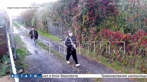 Садоводы сняли скрытой камерой наркоторговцев, выяснили где  прячут наркотики и вызвали журналистов