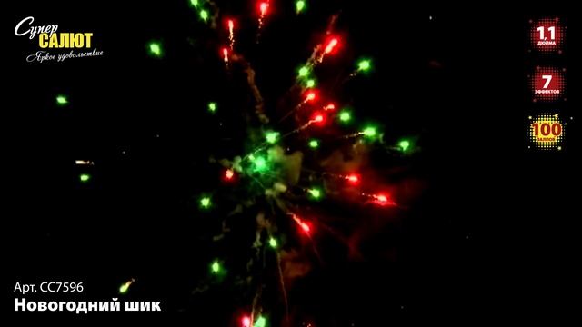 СС7596_2024 смотреть онлайн