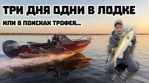 Нижняя Волга. Живем в лодке. Тренировки к "Трофею Райгорода".