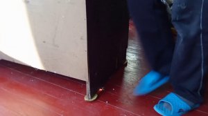 век живи,век учись