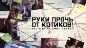 Руки прочь от котиков! Охота на интернет-убийцу — 3 серия