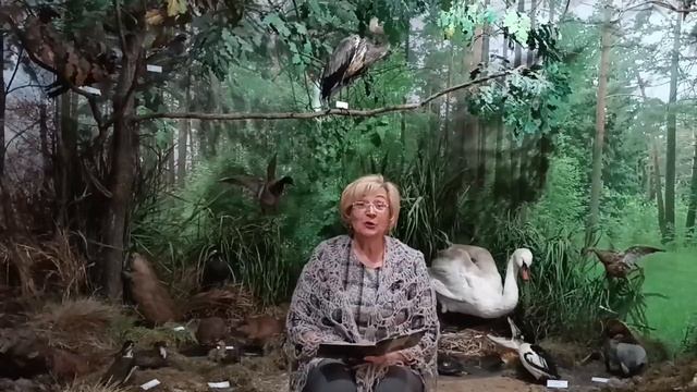 Русская народная сказка "Лиса и журавль" смотреть онлайн