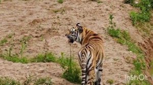 ЗЕМЛЯ ПРАЙДА2