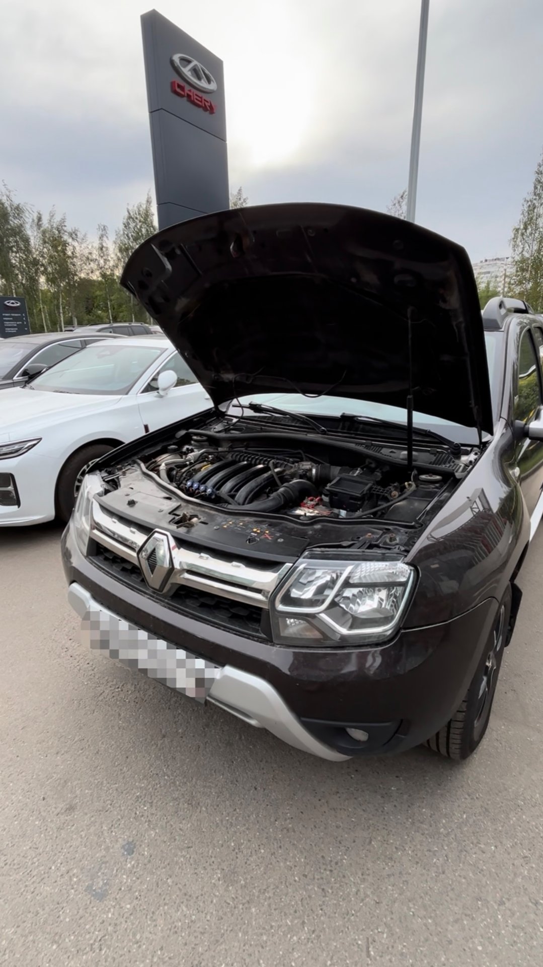 Реальный ли пробег? Рено Дастер из автосалона смотреть онлайн