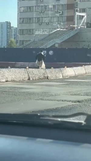 Новые лосины