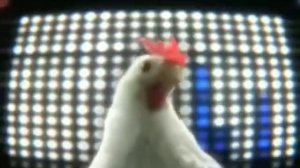 песня курочки (видио  не мое)