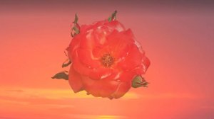 "Октоих", С.А. Есенин.