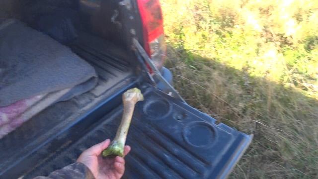 Одна Звонка с "трофеем")))