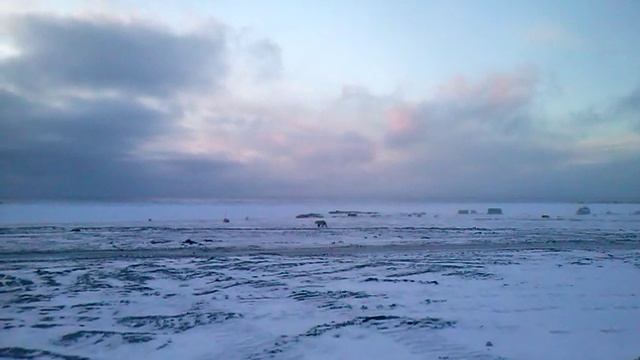 CAM02094 смотреть онлайн