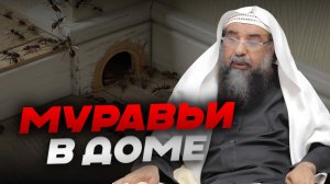 МОЖНО ЛИ УБИВАТЬ МУРАВЬЕВ? СПОСОБ ИЗБАВЛЕНИЯ ОТ НИХ ПО ШАРИАТУ! | Шейх Сулейман ар-Рухейли