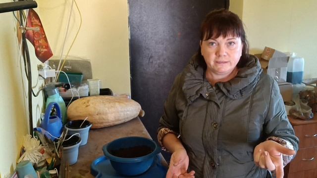 Ни какого порядка,кругом бардак смотреть онлайн