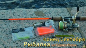 ЗАВЕРШАЮЩАЯ РЫБАЛКА СЕНТЯБРЬ НЕВА 2025 ДЖИГ ОСЕНЬ КЛЁВ БЫВАЕТ РАЗНЫМ ИЩЕМ ХИЩНИКА СУДАКА ОКУНЯ