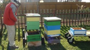 Увеличиваем подрамочное пространство перед зимовкой.