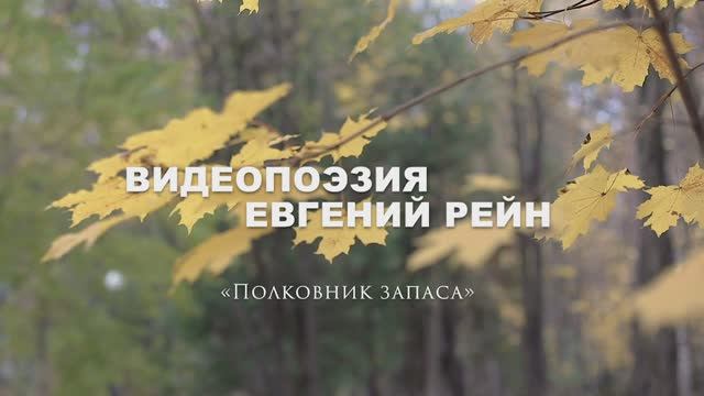 Видеопоэзия. Евгений Рейн «Полковник запаса»