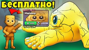 Хочешь Такой Подарок? Прокачка ВСЕХ Нубиков в Брейнрот Эволюции Роблокс