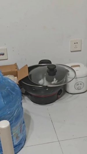 Типичные коты