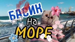 Путешествие Басика на море!❤️ Крым, пляж, крокодиловая ферма! Басик~море🌴🔥🌊 наша поездка💜