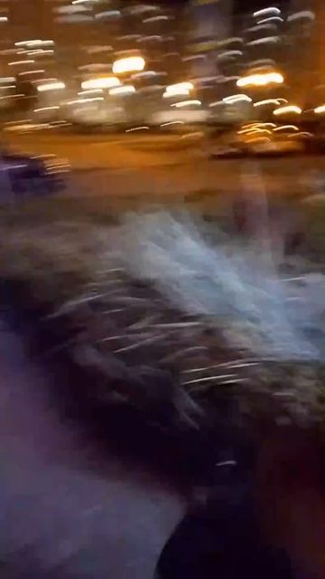 1000056892.mp4 смотреть онлайн