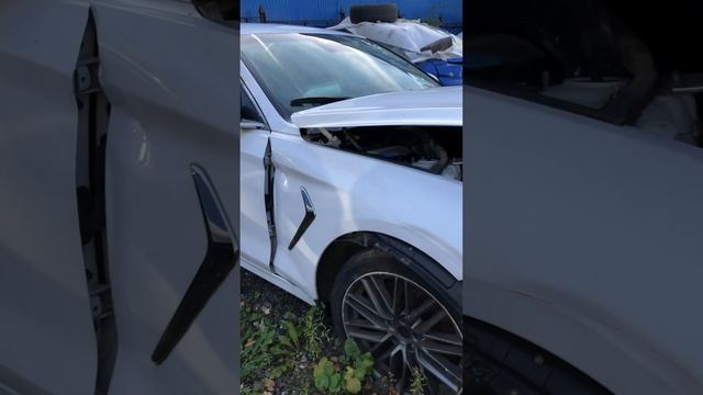 G7019 смотреть онлайн