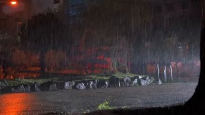Звуки дождя для глубокого сна и исцеления от бессонницы 🌧️