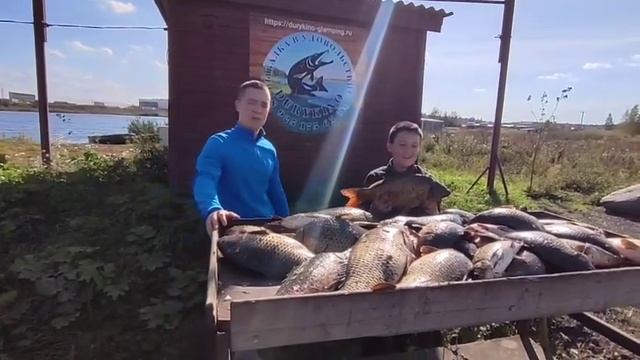 WhatsApp Video 2025-09-16 at 14.06.59 смотреть онлайн