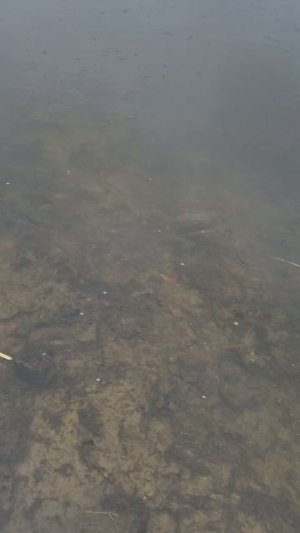 Рыбалка на спиннинг