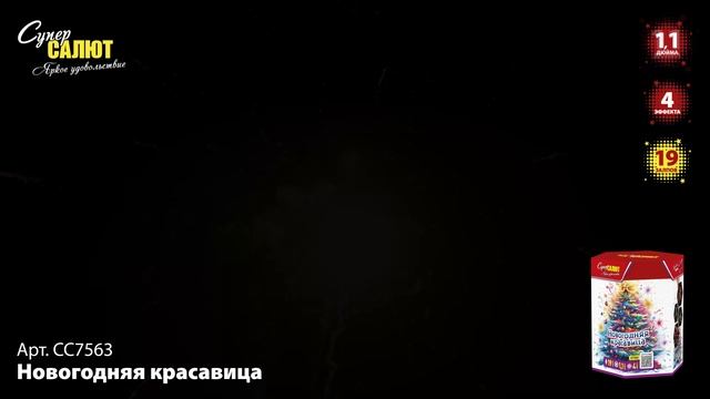 СС7563_2024 смотреть онлайн