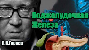 Уникальная звуковая матрица. МАТРИЦА ГАРЯЕВА ДЛЯ ПОДЖЕЛУДОЧНОЙ ЖЕЛЕЗЫ