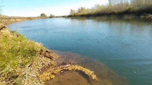 VID_20251001_105721~2.mp4 рыбалка на реке Сакмара рыбка не клюёт 🎣