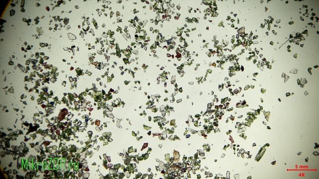 Поляризованный Vs Обычный свет: Как метод съемки меняет мир под микроскопом