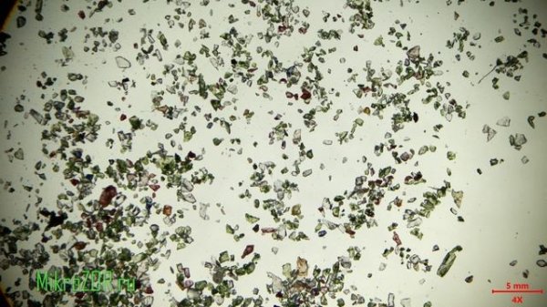 Поляризованный vs Обычный свет: Как метод съемки меняет мир под микроскопом